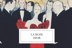 rose-dior-636x422
