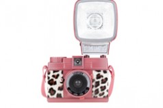 lomo-leopard-244x206