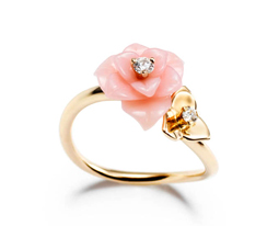 piaget244x206